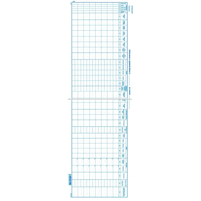 Výplatná listina, 57x21cm